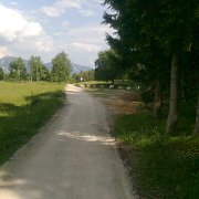 realizzazione strade forestali (21)